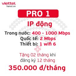 Gói internet chuyên nghiệp Pro 1