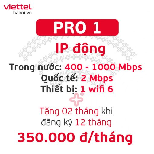 Gói internet chuyên nghiệp Pro 1
